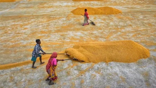 PM Kisan 21st Installment