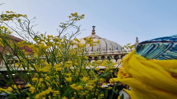 Basant Panchami Hazrat Nizamuddin
