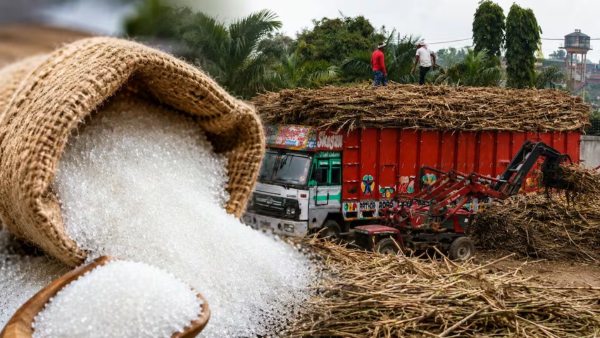 Sugar Price