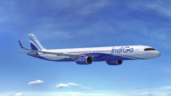 IndiGo IndiGo