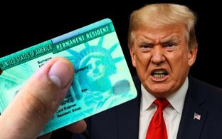H1B Visa: 8 कंपनियों के Green Card पर रोक, अब क्या करें NRIs?