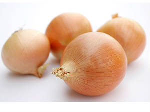 Government bans onion exports to cool prices Government bans onion exports to cool prices
