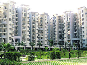 real estate real estate