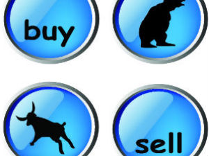 Nifty hits record high of 7,809.20 points as FIIs buy Nifty hits record high of 7,809.20 points as FIIs buy