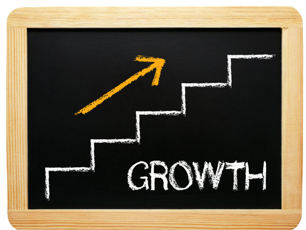  Franklin India Taxshield Fund