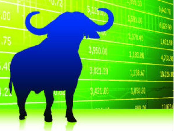 Dixon Technologies Fund Usage