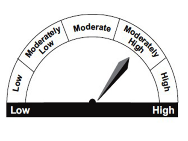 riskometer riskometer