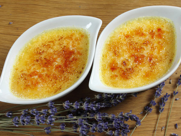 Custard power