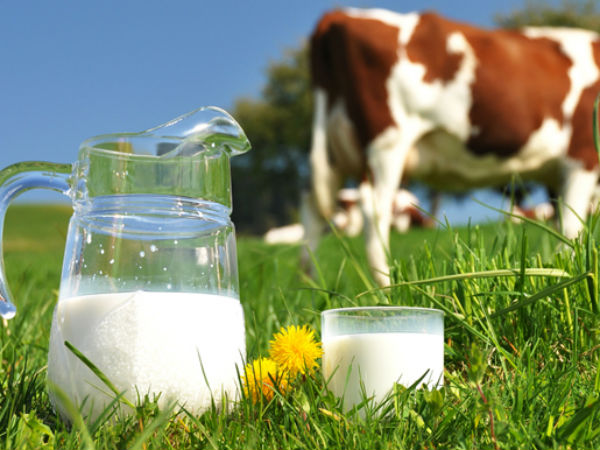 Kisan Credit Cards to Dairy Farmers and Fisheries