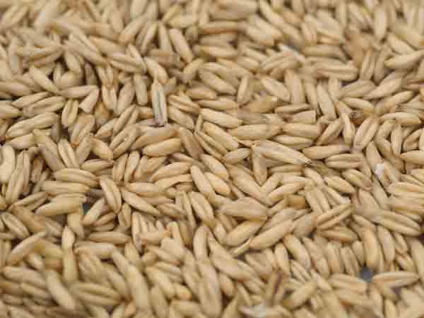 Food Minister Says Centre Working On Portability Of Food Grains Entitlement Food Minister Says Centre Working On Portability Of Food Grains Entitlement