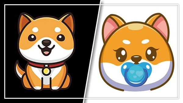 Fees and Bonus Associated with Baby Dogecoin