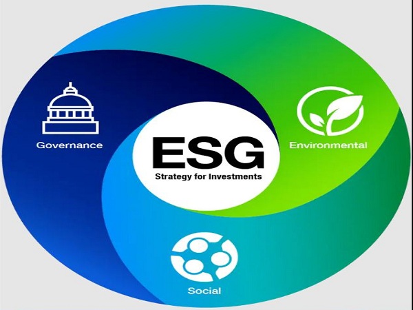 What are ESG focused companies?