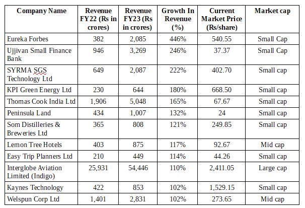 12 Companies That Doubled Their Revenue In The Last 1-Year