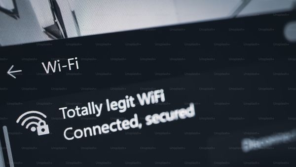 Alt text: Screenshot of Google search trends showing the popularity of various search terms.