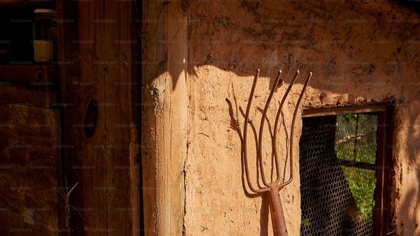 Turning Green for the Sake of your Wallet and the Planet