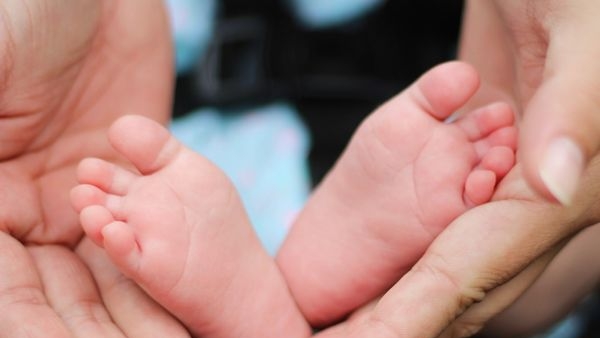 Image of health insurance policy documents Image of health insurance policy documents