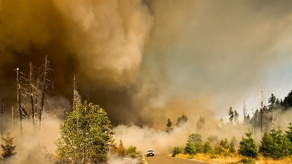 Natural disaster damage Natural disaster damage