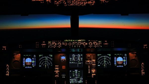 Airlines Economic Vulnerability and Financial Risk Management