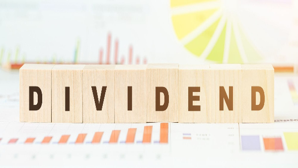 Rs 15.34/Share Dividend: Multibagger PSU Defence Stock Declares Highest Dividend