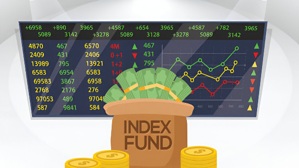 How To Pick Up The Right Index Funds For Your Portfolio?