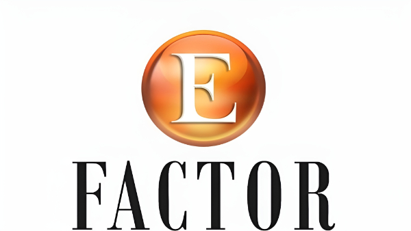 E-Factor