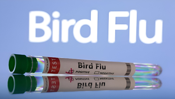 BIrd-flu