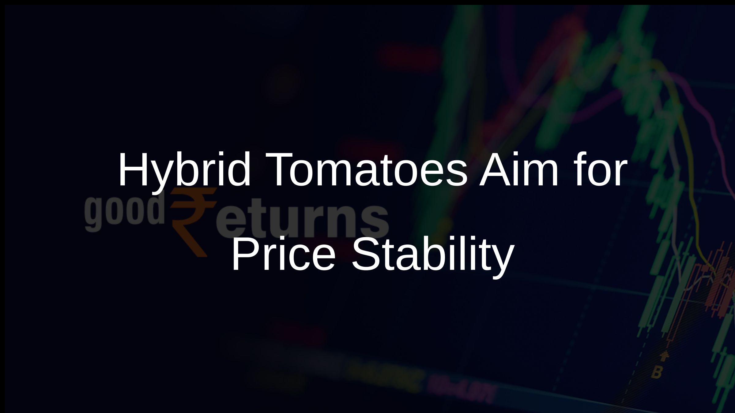 Hybrid Tomatoes Aim for Price Stability