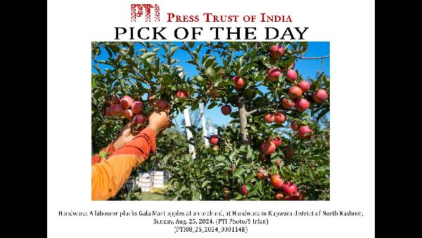 Kevan Parekh New Apple CFO