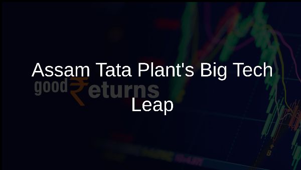 Assam Tata Plants Big Tech Leap