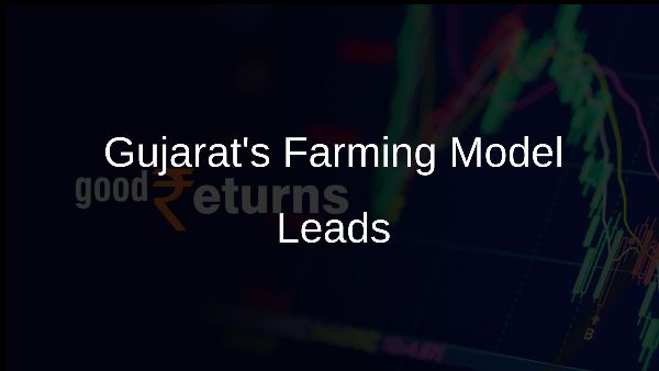 Gujarats Farming Model Leads Gujarats Farming Model Leads