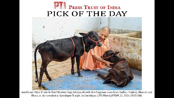 Uttar Pradesh: A Key Investment Hub