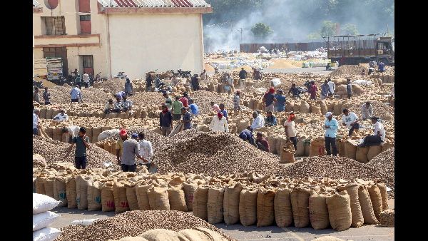 Accelerating Central Agricultural Schemes in Northern States