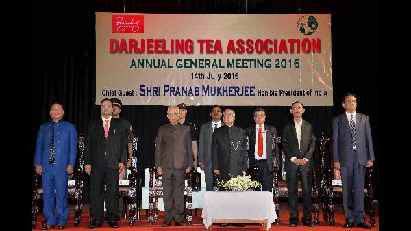 Mamata Banerjee Targets Fake Darjeeling Tea Sales