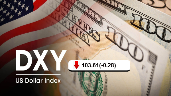 Dollar Softens as Traders Brace for Tight US Election Amid Volatility