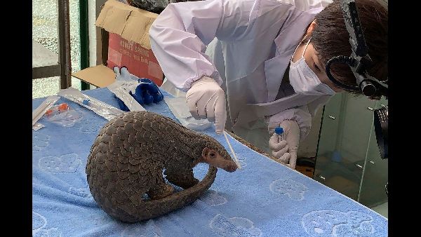 Himachal Pradesh Launches Sustainable Development Project