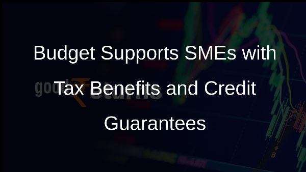Budget Supports SMEs with Tax Benefits and Credit Guarantees