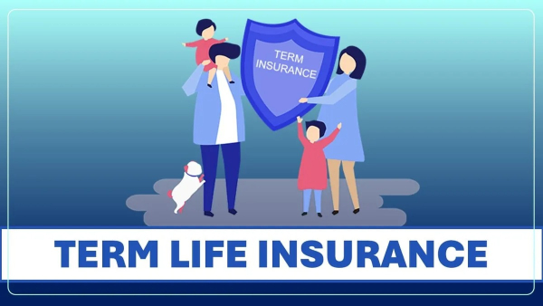 Term Insurance Purchases Surge Among High-Salaried Individuals In Metro Areas: Policybazaar