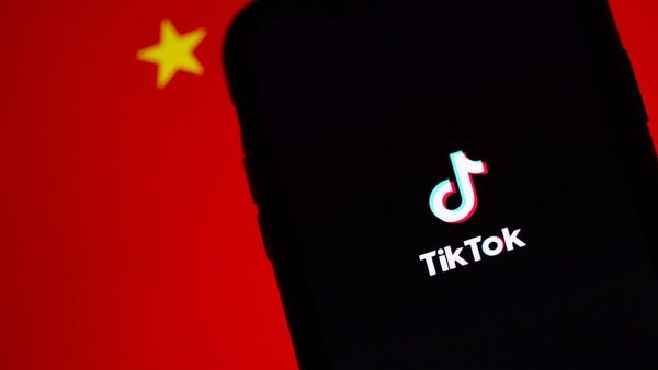Trump's Proposal: Elon Musk And Larry Ellison May Acquire TikTok 