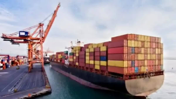 India Should Propose 'Zero For Zero' Strategy To US To Address Reciprocal Tariff