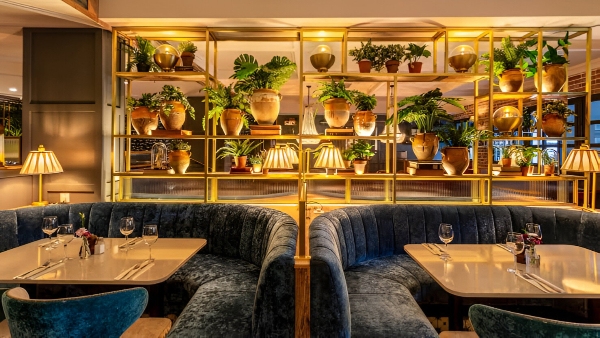 Hotel Bookings In India Surge By Over 20  On Valentine s Day  Couples Ready To Splurge