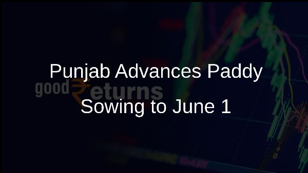 Punjab Advances Paddy Sowing to June 1