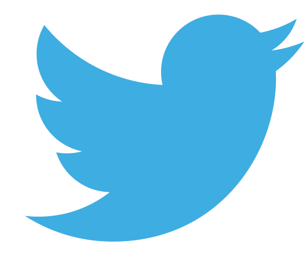 Twitter Blue Bird Logo