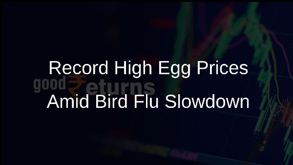 Record High Egg Prices Amid Bird Flu Slowdown