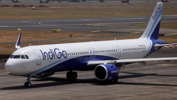 Indigo