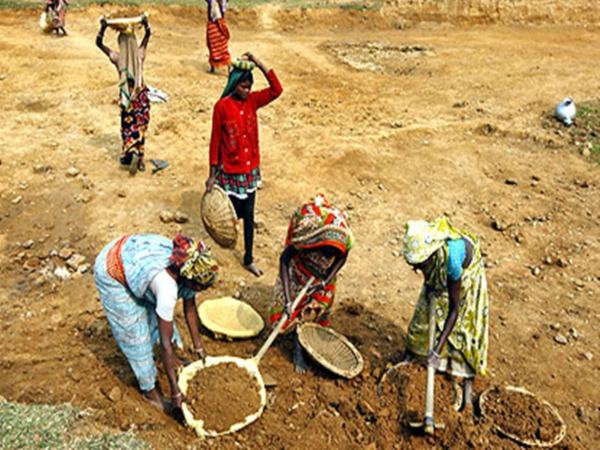 MGNREGA Wage