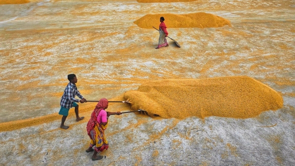 What Is PM Kisan Mandhan Yojana? How To Apply? All You Need To Know