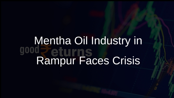Mentha Oil Industry in Rampur Faces Crisis