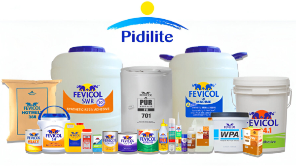 Pidilite Industries Shares Alert! Board Approves 1:1 Bonus Shares; Buy Now?