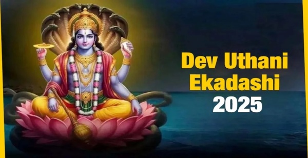 Devuthani Ekadashi 2025: Tulsi Vivah 2025 Date, Vrat Timing, Tithi, Puja Muhurat Devuthani Ekadashi 2025: Tulsi Vivah 2025 Date, Vrat Timing, Tithi, Puja Muhurat