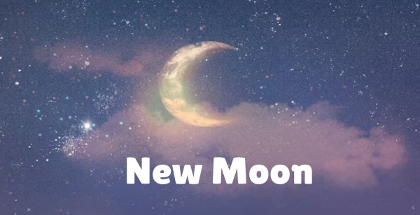 Paush Amavasya 2025: Date, Time, Shubh Muhurat, Panchang Tithi, Significance